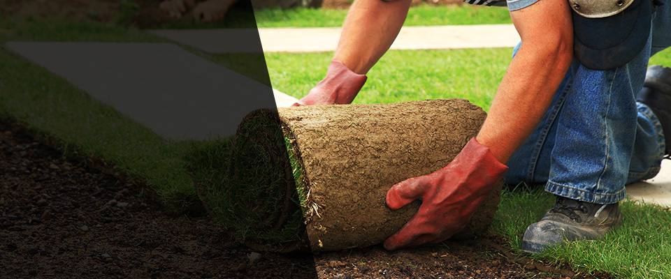 Tuolumne Landscapers